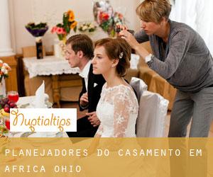 Planejadores do casamento em Africa (Ohio)