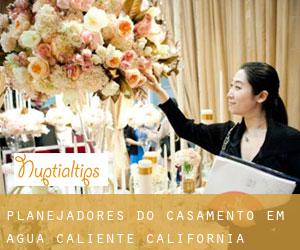 Planejadores do casamento em Agua Caliente (California)
