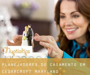 Planejadores do casamento em Cedarcroft (Maryland)