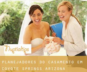 Planejadores do casamento em Coyote Springs (Arizona)