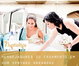 Planejadores do casamento em Gum Springs (Arkansas)