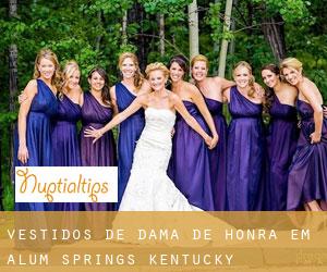 Vestidos de dama de honra em Alum Springs (Kentucky)