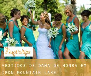 Vestidos de dama de honra em Iron Mountain Lake