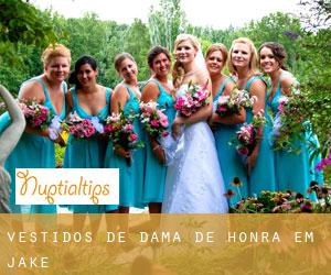 Vestidos de dama de honra em Jake