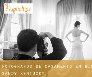 Fotógrafos de casamento em Big Sandy (Kentucky)