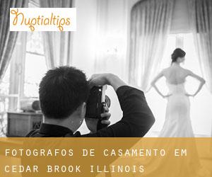 Fotógrafos de casamento em Cedar Brook (Illinois)