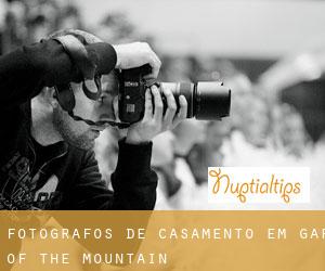 Fotógrafos de casamento em Gap of the Mountain