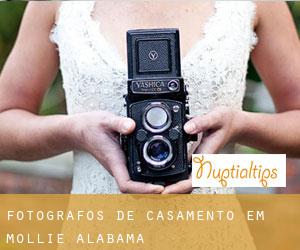 Fotógrafos de casamento em Mollie (Alabama)