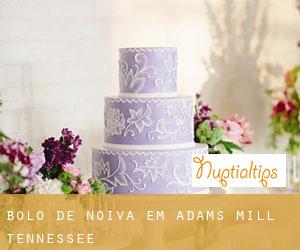 Bolo de noiva em Adams Mill (Tennessee)