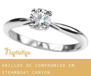 Anillos de compromiso em Steamboat Canyon