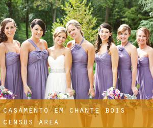 casamento em Chante-Bois (census area)