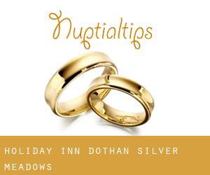 Holiday Inn Dothan (Silver Meadows)