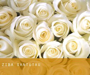 Ziba (Santutxu)